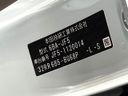 2025 Honda N-BOX 6BA-JF5 (UW-6aadfd6d2bd4d)[1]