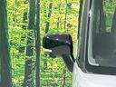2026 Suzuki Spacia Custom 5AA-MK94S (UW-6aadfe6c60b5f)[12]