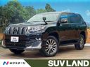2019 Toyota Land Cruiser Prado CBA-TRJ150W (UW-6aadff7cc982d)[3]