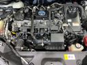2018 Toyota C-HR DAA-ZYX10 (UW-6aae003dbda43)[13]