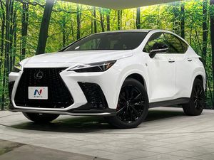 2025 Lexus NX 6AA-AAZH25