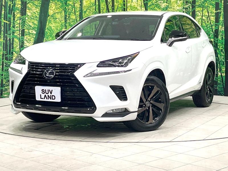 2019 Lexus NX DAA-AYZ10 (UW-6aaf4d7346655)[0]