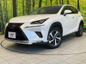 2020 Lexus NX DAA-AYZ10