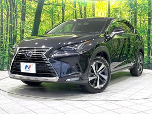 2019 Lexus NX DAA-AYZ10