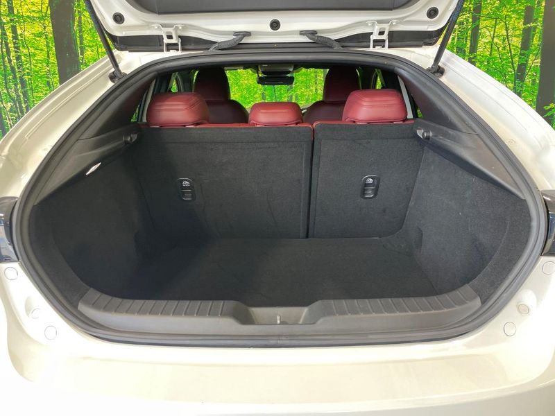 2021 Mazda Mazda 3 Fastback 6BA-BP5P (UW-6aaf4dbd4e576)[16]