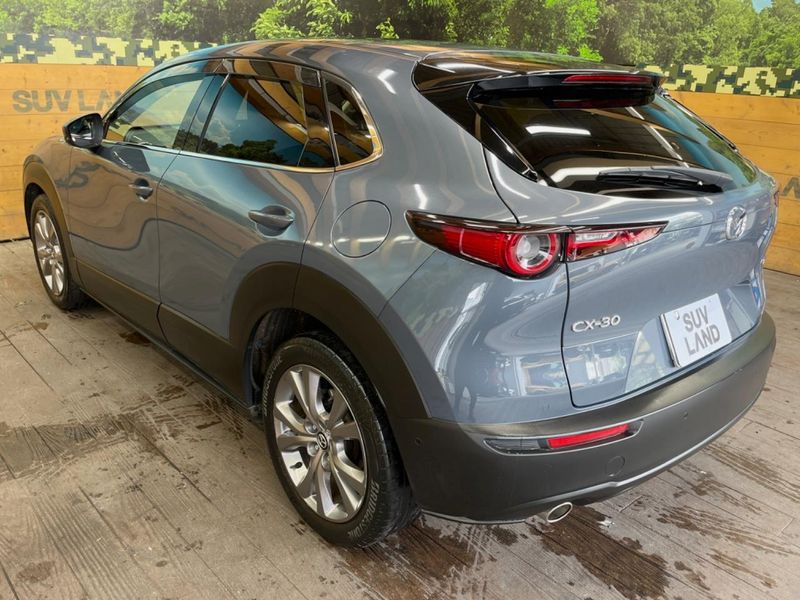 2019 Mazda CX-30 5BA-DMEP (UW-6aaf4de35e54e)[24]