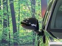 2024 Honda Civic 6BA-FL1 (UW-6aaf4dfe80191)[8]