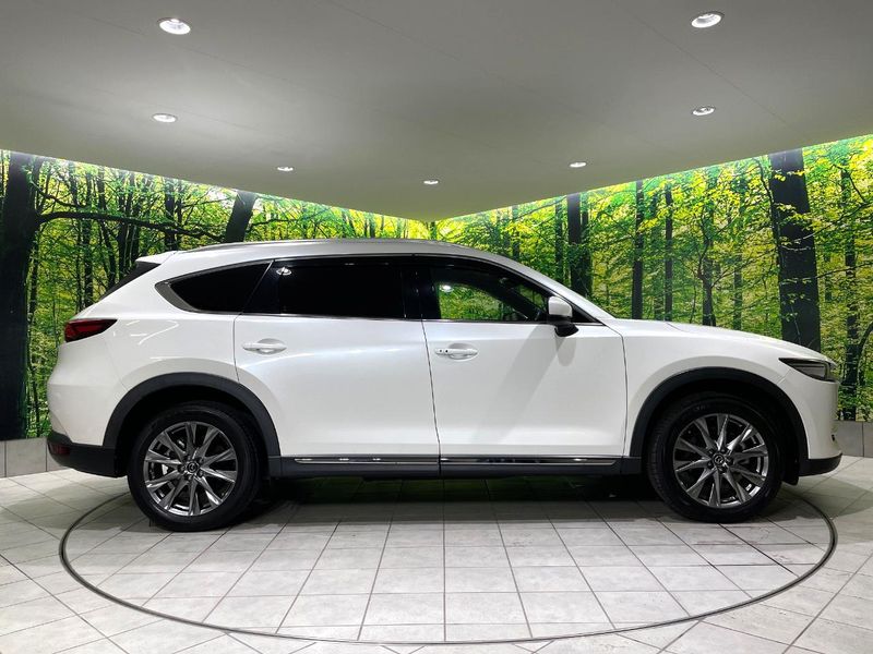 2019 Mazda CX-8 3da-kg2p (UW-6aaf4f061789a)[21]