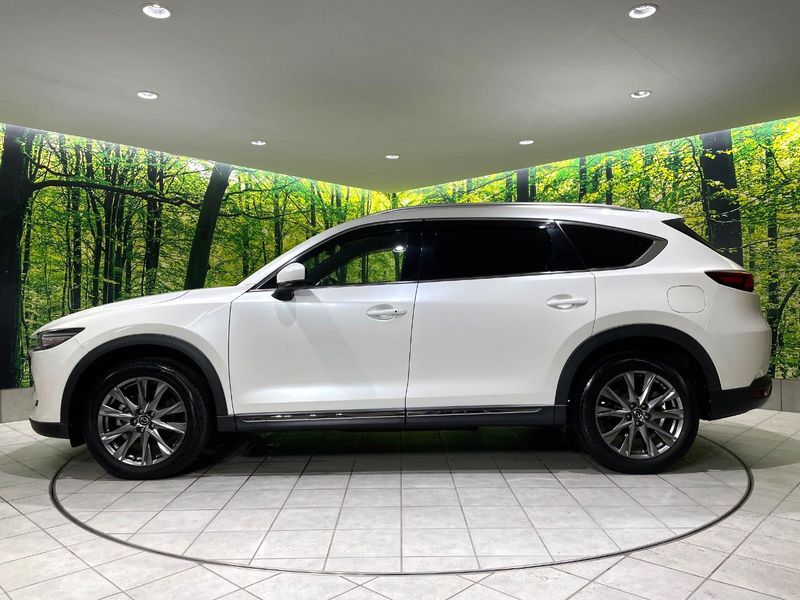 2019 Mazda CX-8 3da-kg2p (UW-6aaf4f061789a)[7]