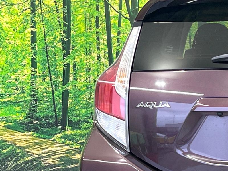 2015 Toyota Aqua DAA-NHP10 (UW-6aaf505dbcc2d)[19]