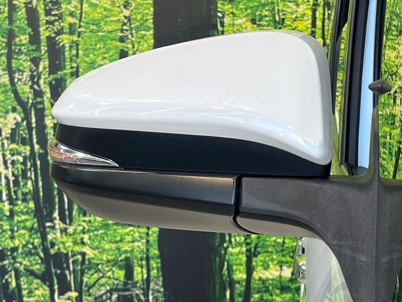 2018 Toyota Esquire DAA-ZWR80G (UW-6aaf5175b901f)[23]