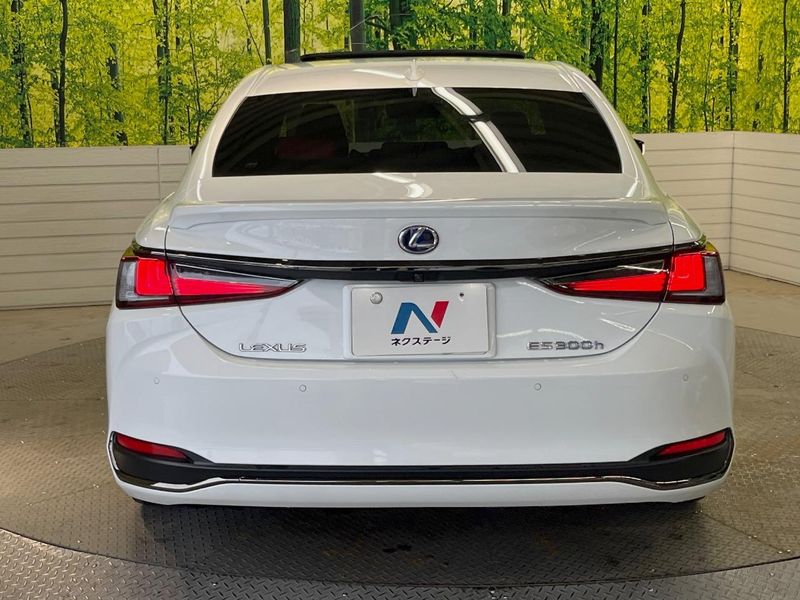2022 Lexus ES 6AA-AXZH11 (UW-6ab09ed43bf80)[16]