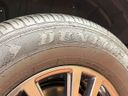 2025 Toyota Land Cruiser 250 3DA-GDJ250W (UW-6ab09f77d91c5)[20]