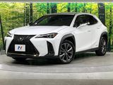 2020 Lexus UX 6AA-MZAH10
