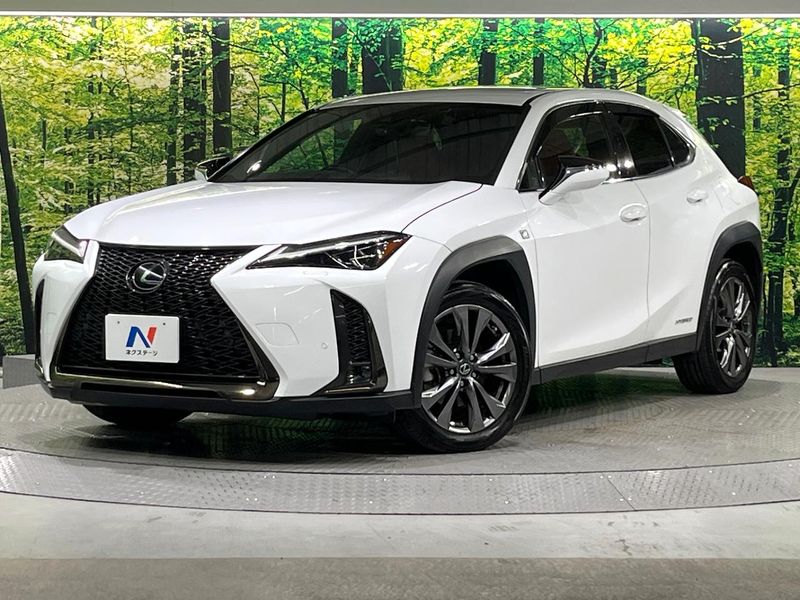 2020 Lexus UX 6AA-MZAH10 (UW-6ab0a19d753f4)[0]