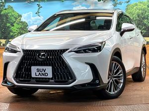 2023 Lexus NX 6AA-AAZH20
