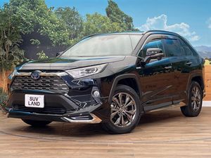 2020 Toyota RAV4 6AA-AXAH54