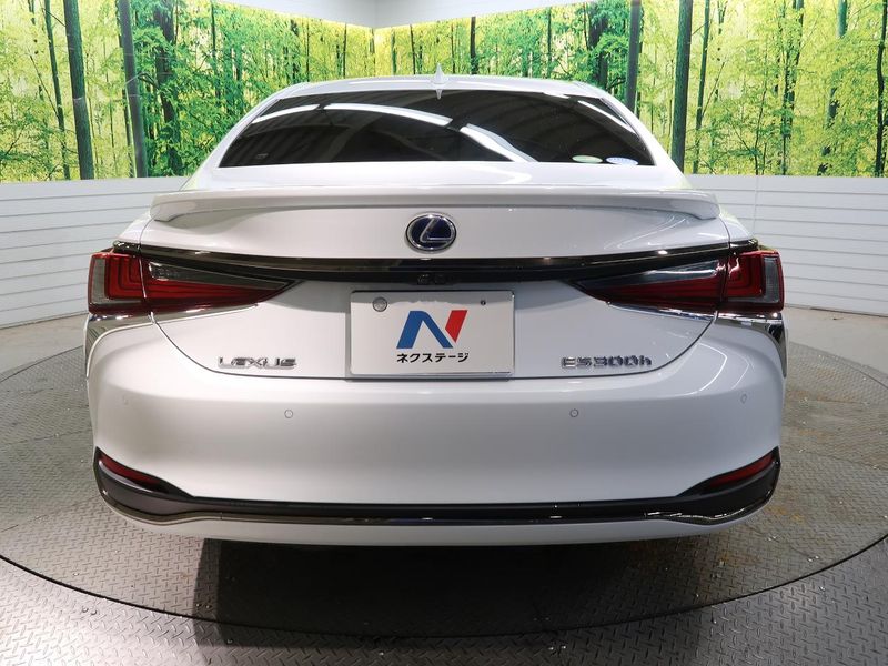 2020 Lexus ES 6AA-AXZH10 (UW-6ab1f051ac8ec)[9]