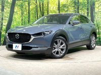 2019 Mazda CX-30 3DA-DM8P