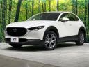 2023 Mazda CX-30 5AA-DMEJ3P (UW-6ab1f0c2468a0)[0]