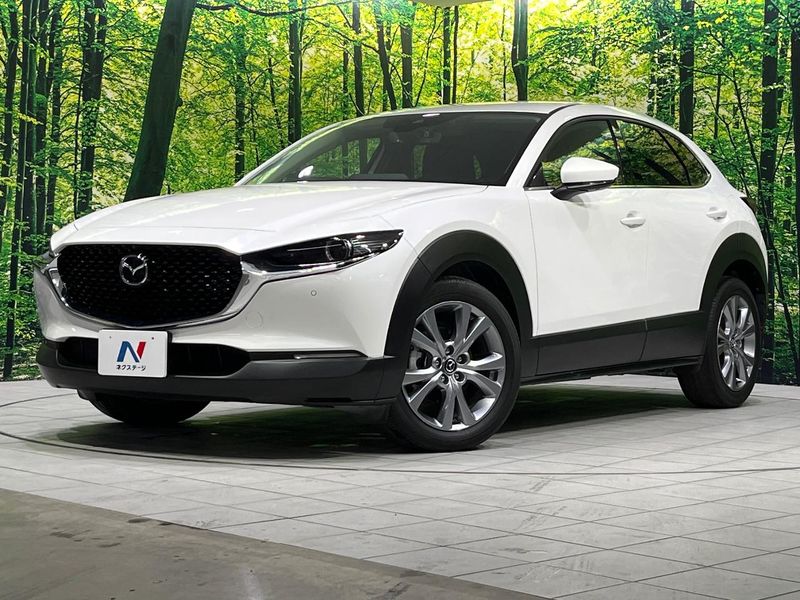 2023 Mazda CX-30 5AA-DMEJ3P (UW-6ab1f0c2468a0)[0]