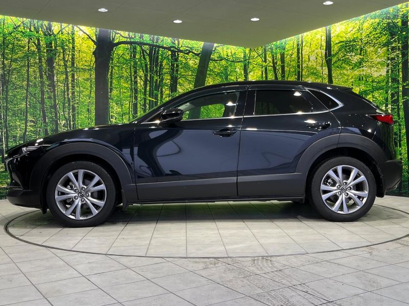 2019 Mazda CX-30 5BA-DMEP (UW-6ab1f0c30b3e3)[25]