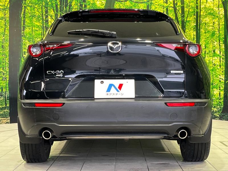 2019 Mazda CX-30 5BA-DMEP (UW-6ab1f0c30b3e3)[27]