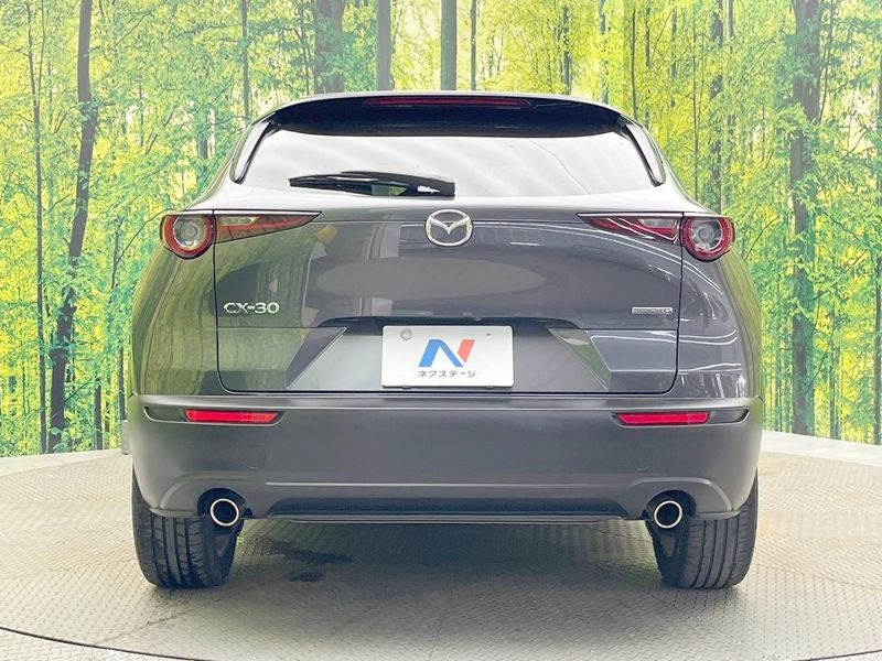 2020 Mazda CX-30 5BA-DMEP (UW-6ab1f0c3e7689)[29]