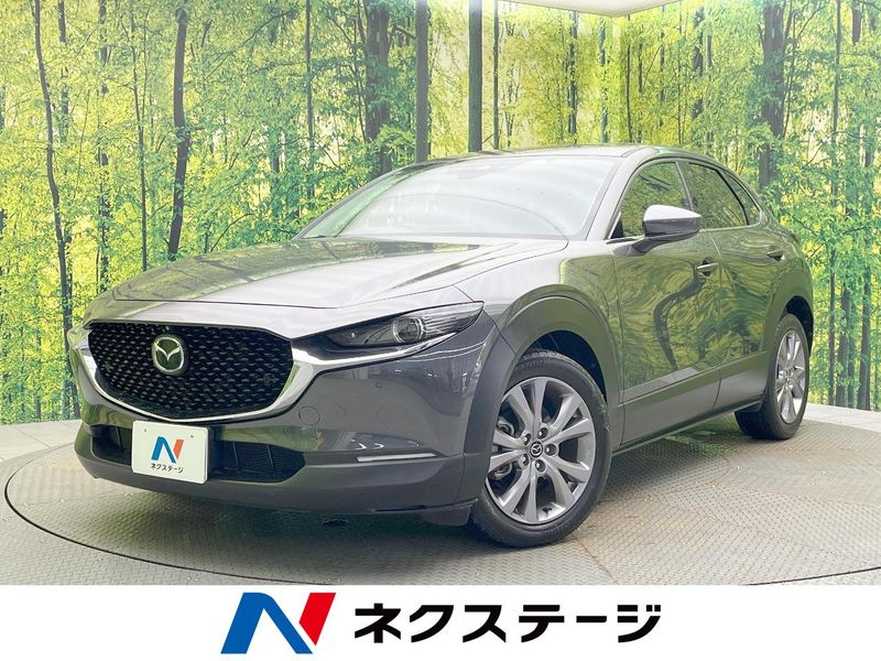 2020 Mazda CX-30 5BA-DMEP (UW-6ab1f0c3e7689)[3]