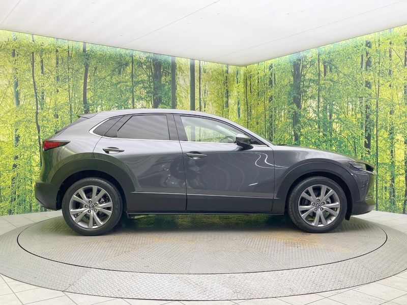 2020 Mazda CX-30 5BA-DMEP (UW-6ab1f0c3e7689)[11]