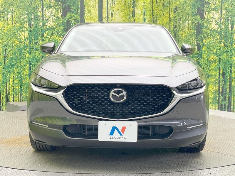 2020 Mazda CX-30 5BA-DMEP (UW-6ab1f0c3e7689)[9]