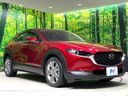 2020 Mazda CX-30 5BA-DMEP (UW-6ab1f0c463087)[21]