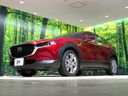 2020 Mazda CX-30 5BA-DMEP (UW-6ab1f0c463087)[15]