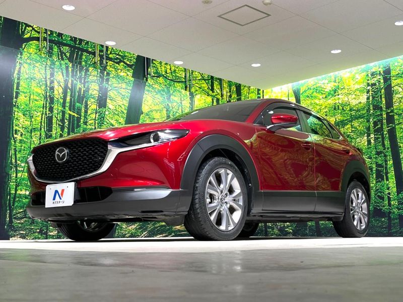 2020 Mazda CX-30 5BA-DMEP (UW-6ab1f0c463087)[15]