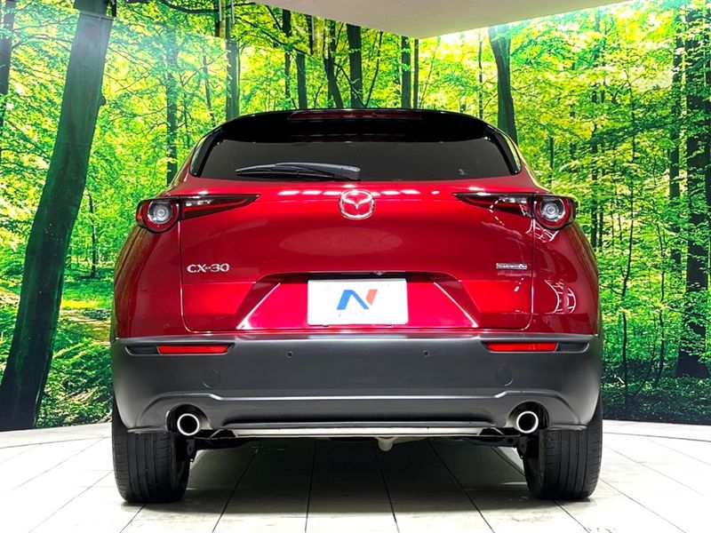 2020 Mazda CX-30 5BA-DMEP (UW-6ab1f0c463087)[18]
