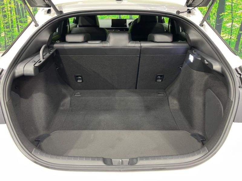 2025 Honda Civic 5BA-FL1 (UW-6ab1f0e028d86)[13]