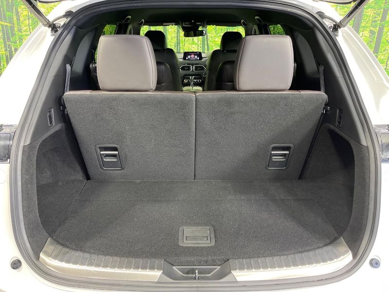 2018 Mazda CX-8 3da-kg2p (UW-6ab1f1dd36131)[26]