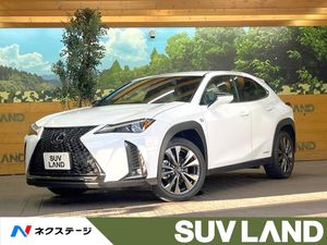 2021 Lexus UX 6AA-MZAH10