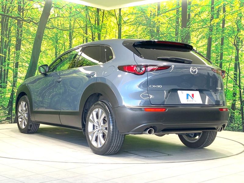 2021 Mazda CX-30 5BA-DMEP (UW-6ab34261666b2)[21]