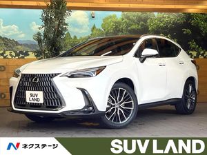 2025 Lexus NX 6AA-AAZH20
