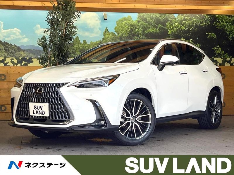 2025 Lexus NX 6AA-AAZH20 (UW-6ab492f85c56a)[0]