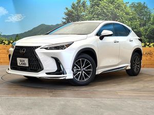 2025 Lexus NX 6AA-AAZH20
