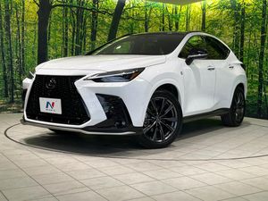 2023 Lexus NX 6AA-AAZH25