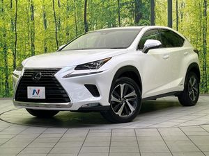 2018 Lexus NX DAA-AYZ10
