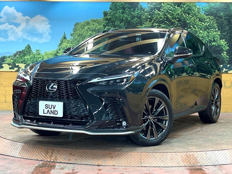 2022 Lexus NX 6AA-AAZH20 (UW-6ab5e4835a399)[0]