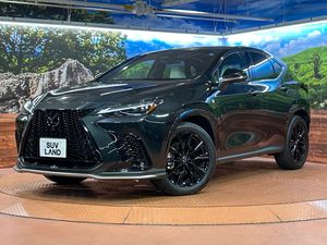 2024 Lexus NX 6AA-AAZH20