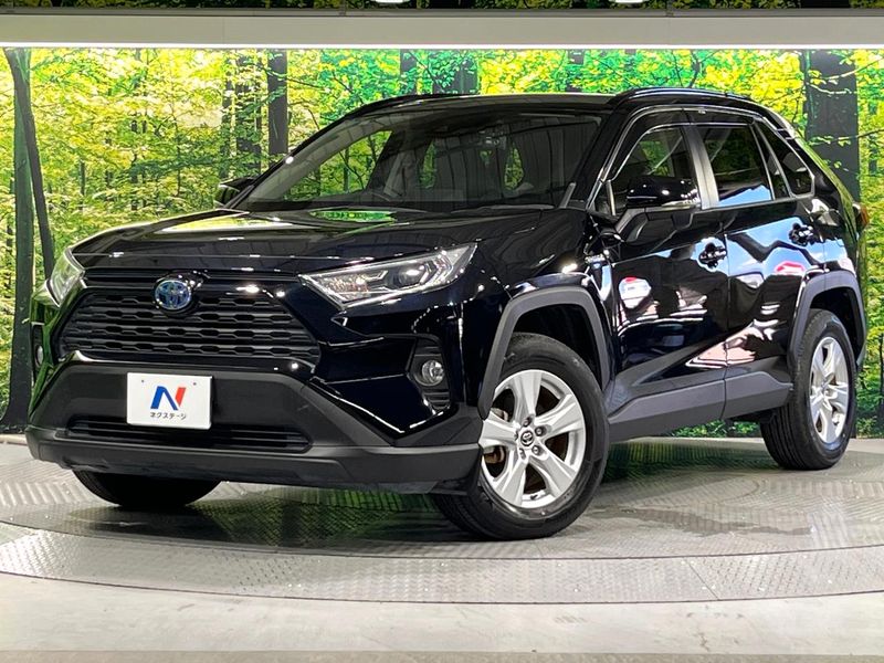 2019 Toyota RAV4 6AA-AXAH52 (UW-6ab5e4bf69943)[0]