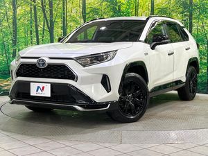 2020 Toyota RAV4 PHV 6LA-AXAP54