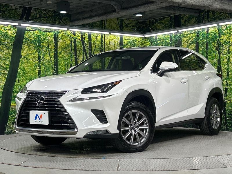 2018 Lexus NX DBA-AGZ15 (UW-6ab7363c0943d)[0]