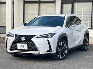 2019 Lexus UX 6AA-MZAH10
